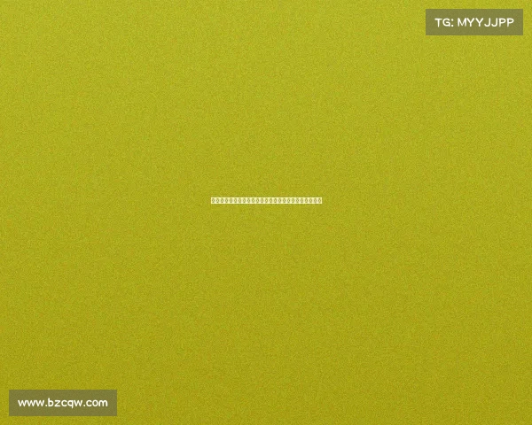 德甲中卫位置的战术作用与发展趋势分析及未来潜力展望