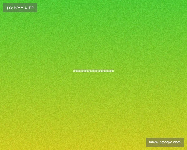 法甲训练赛揭幕强队风采新星崭露头角球迷热议新赛季前景